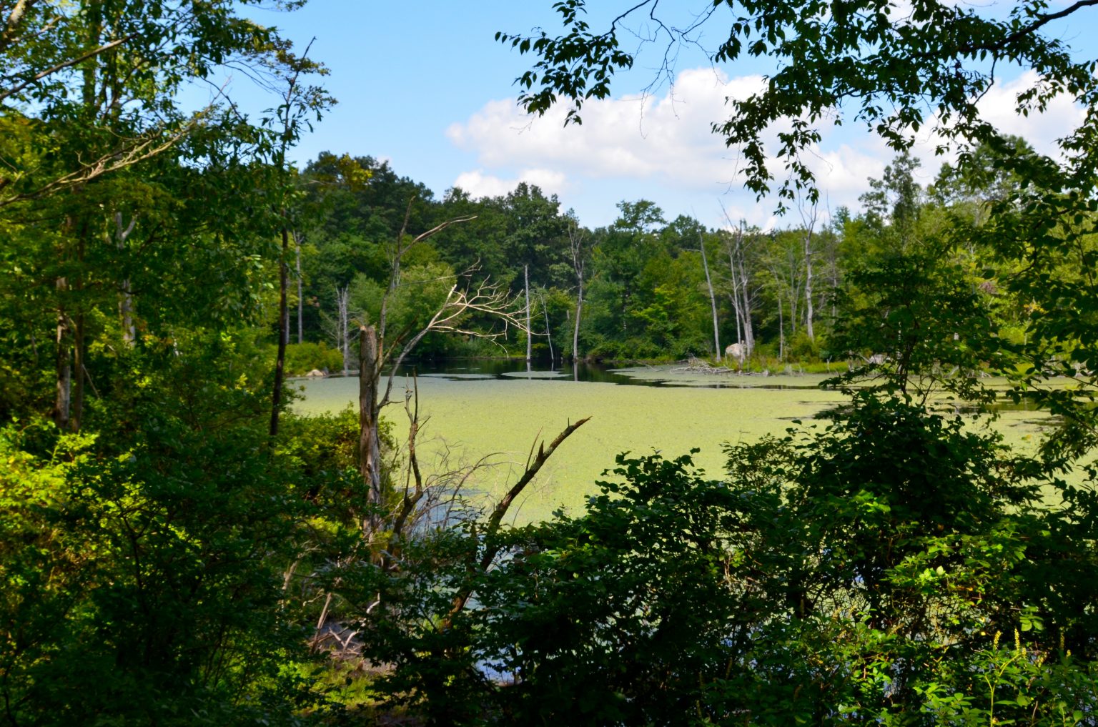 An Update on the Highlands Conservation Reauthorization Act of 2021