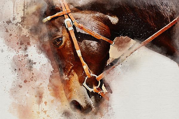 horse painted in monochrome