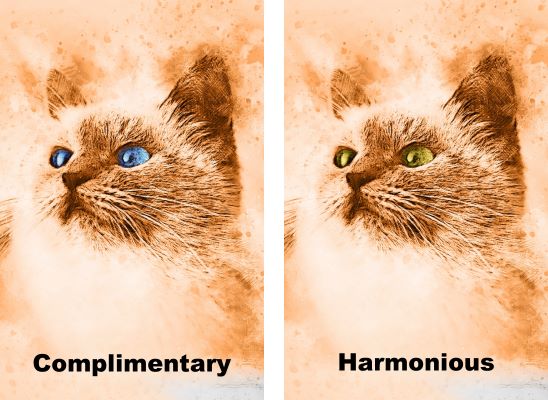 monochrome cat paintings with eyes in complimentary and harmonious colors