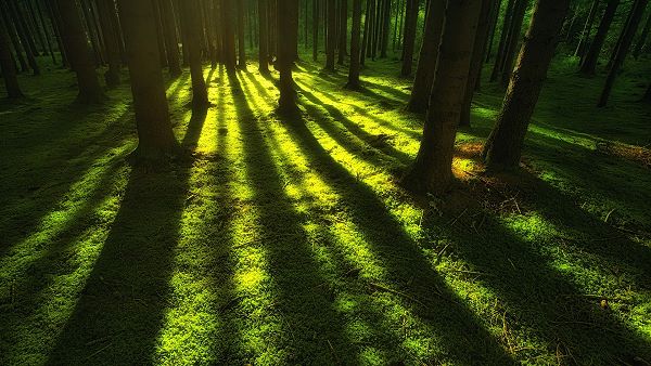 green color conveying cold