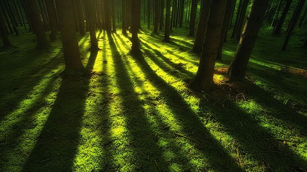 couleur verte véhiculant le froid