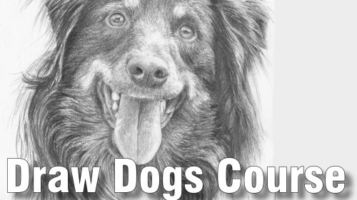 How to Draw Dogs Course