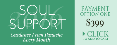 Panache Desai - SOUL SUPPORT 2016 - Separator - Payment Button