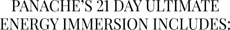 Panache's 21 Day Ultimate Energy Immersion Includes: