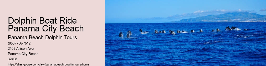 Dolphin Boat Tour Panama City Beach
