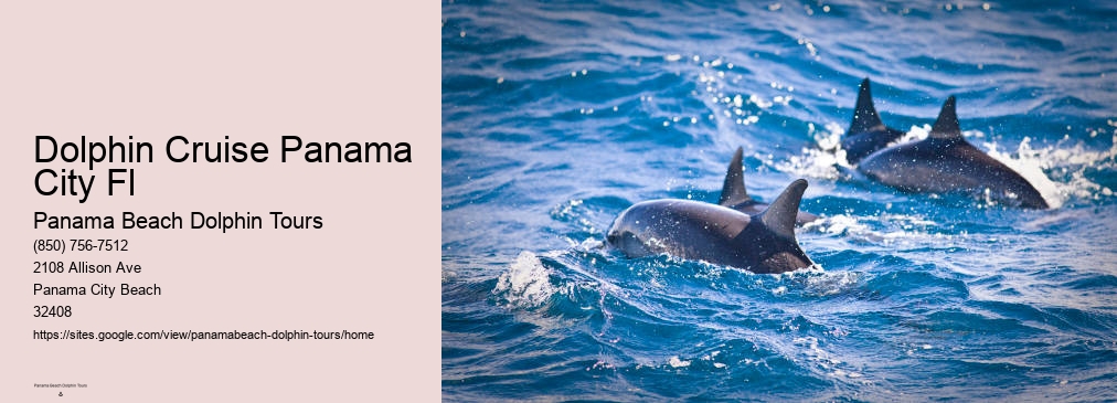 Dolphin Cruise Panama City Fl