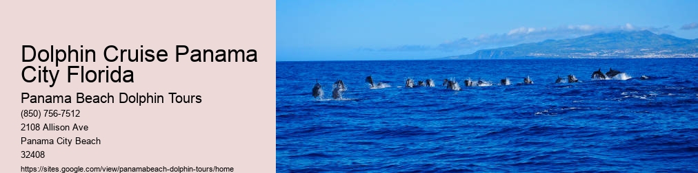 Dolphin Tours Panama City Beach Fl