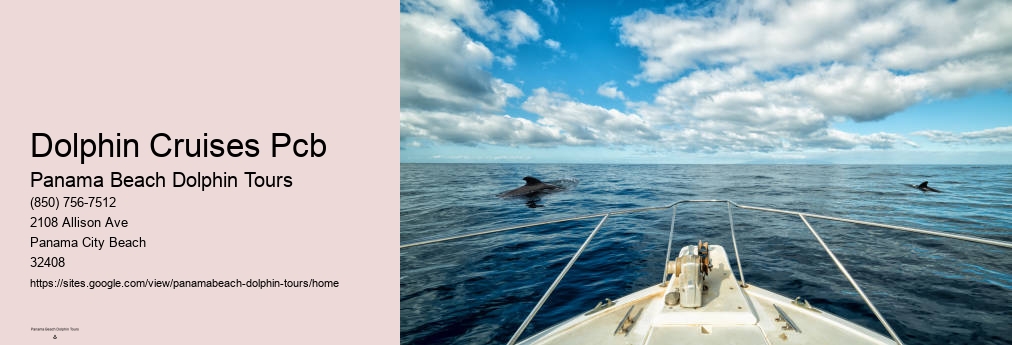 Panama City Dolphin Tours