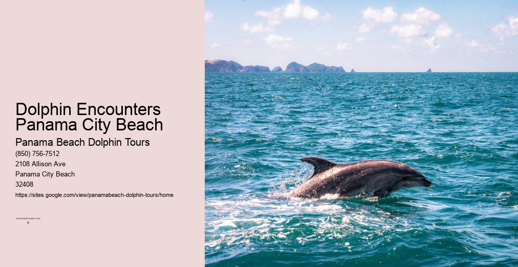 Dolphin Cruises Panama City Beach