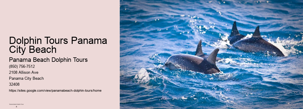 Dolphin Tours Panama City Beach