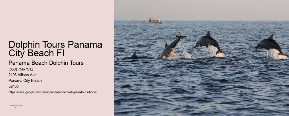 Dolphin Boat Ride Panama City Beach