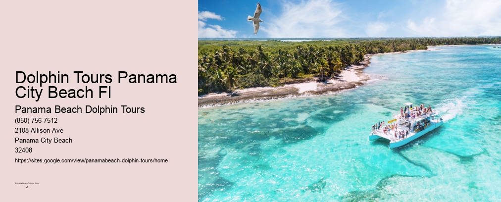 Panama City Dolphin Cruise