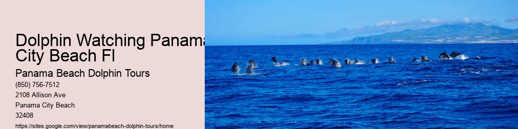 Dolphin Boat Tour Panama City Beach