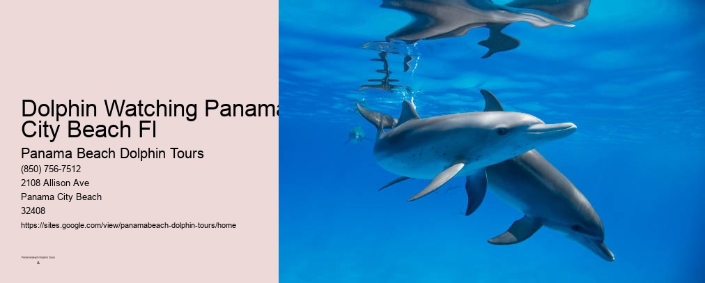 Dolphin World In Panama