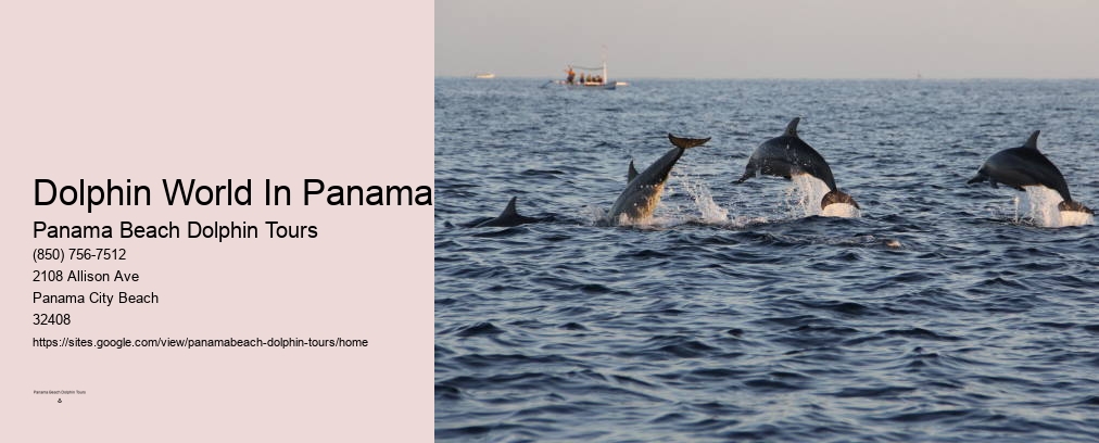 Dolphin Boat Tour Panama City Beach