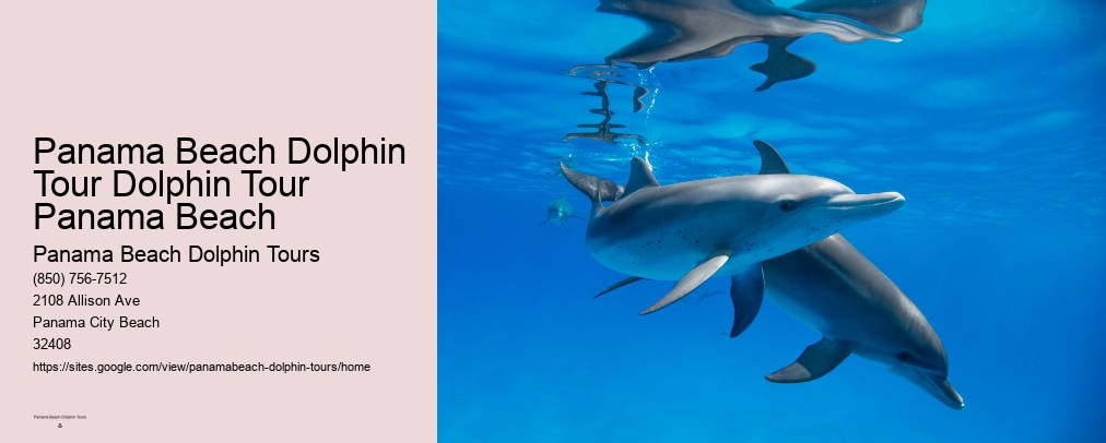 Dolphin Tour Panama City
