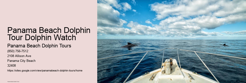 Dolphin Cruise In Panama City