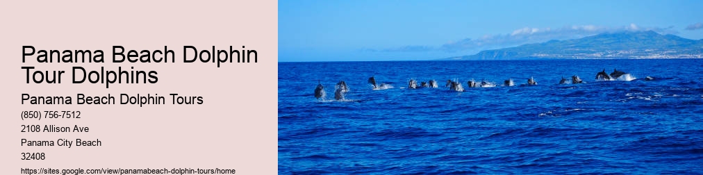 Panama City Dolphin Tours