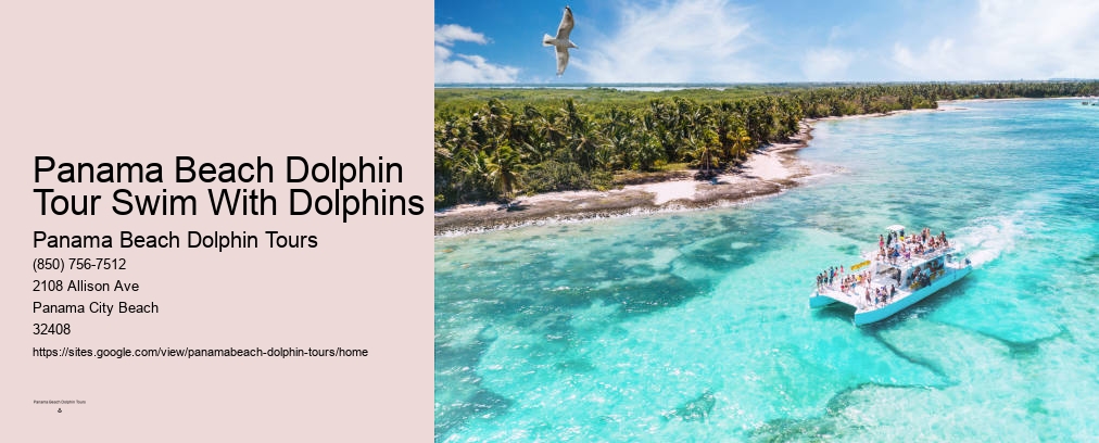 Panama Beach Dolphin Tours Dolphin Watch