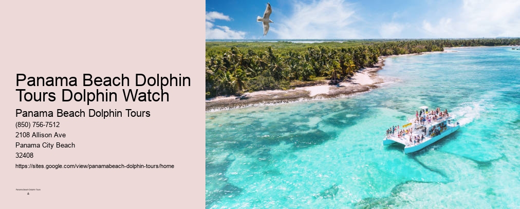 Panama City Dolphin Cruise