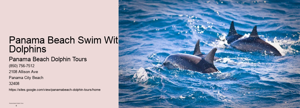 Dolphin Cruises Panama City Beach