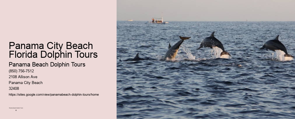 Panama City Beach Florida Dolphin Tours