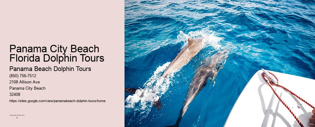 Panama City Beach Dolphin Tours
