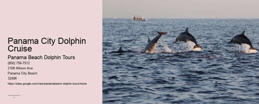 Panama City Dolphin Cruise