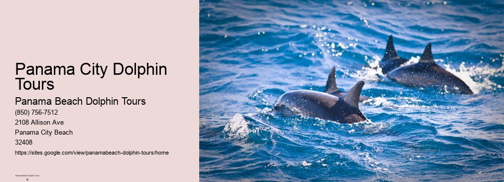 Panama City Dolphin Tours