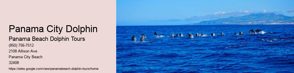Panama City Beach Dolphin Tours