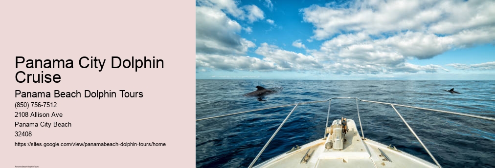 Shell Island Dolphin Tours