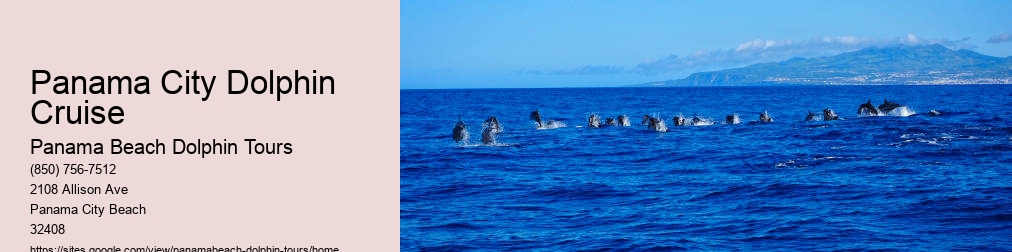 Dolphin Cruise Panama City Beach