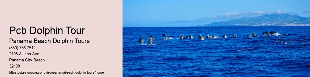 Dolphin Cruises Panama City Beach
