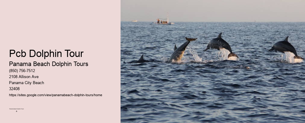 Pcb Dolphin Tour