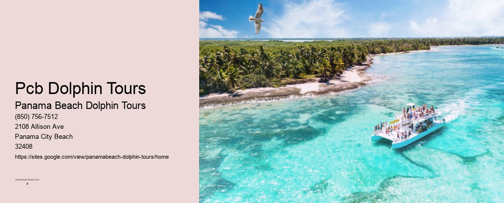 Dolphin Tours Panama City Beach