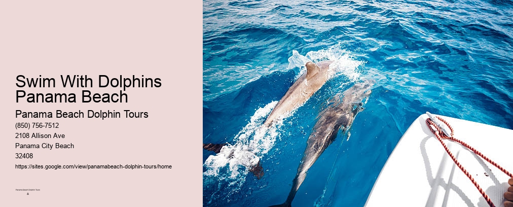 Dolphin Tours In Panama City Beach