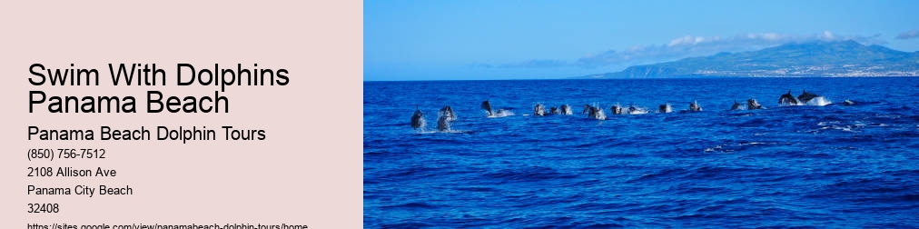 Panama Beach Dolphin Tour Dolphin Tour Panama Beach