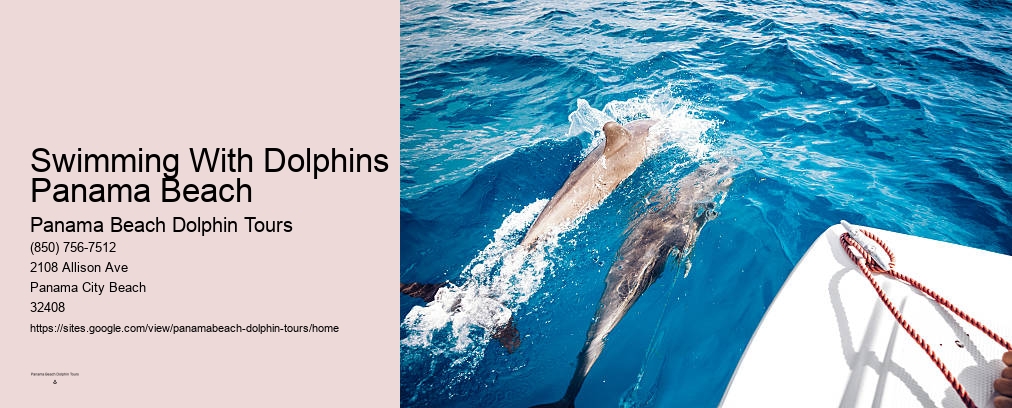 Dolphin Cruise In Panama City