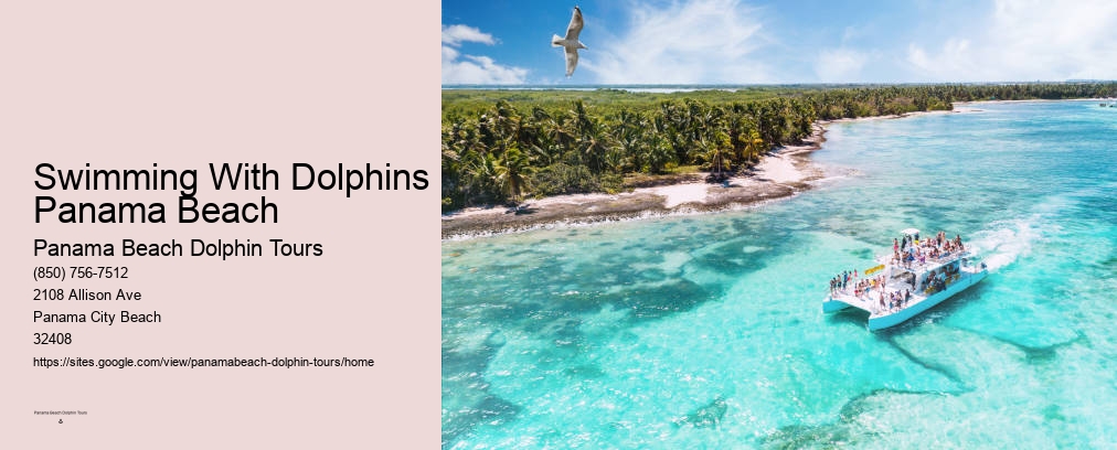 Panama City Beach Dolphin Tours