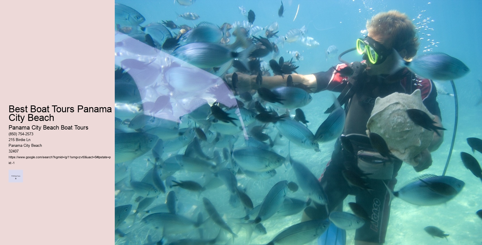 Best Boat Tours Panama City Beach