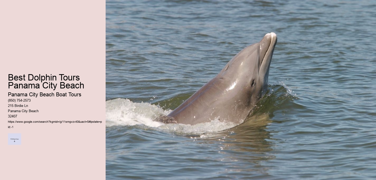 Best Dolphin Tours Panama City Beach