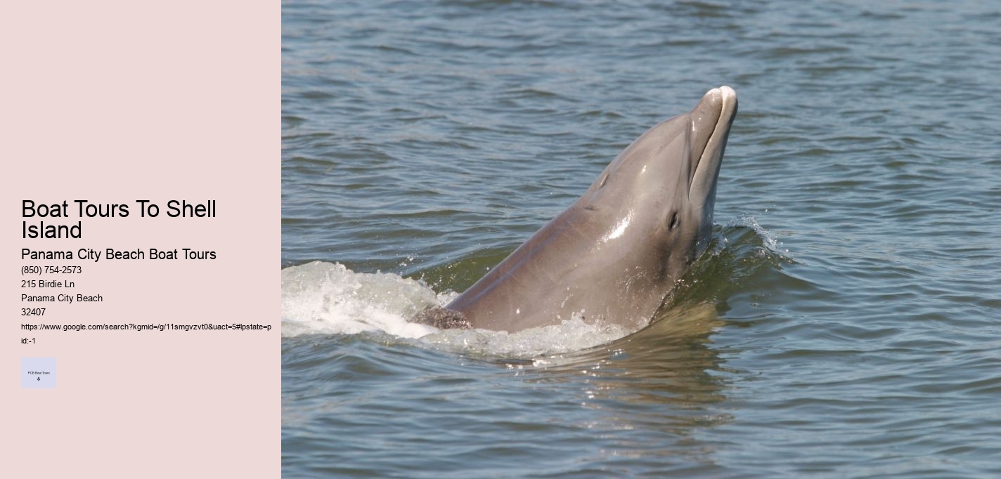 Boat Tours To Shell Island