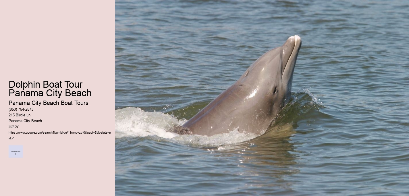 Dolphin Boat Tour Panama City Beach