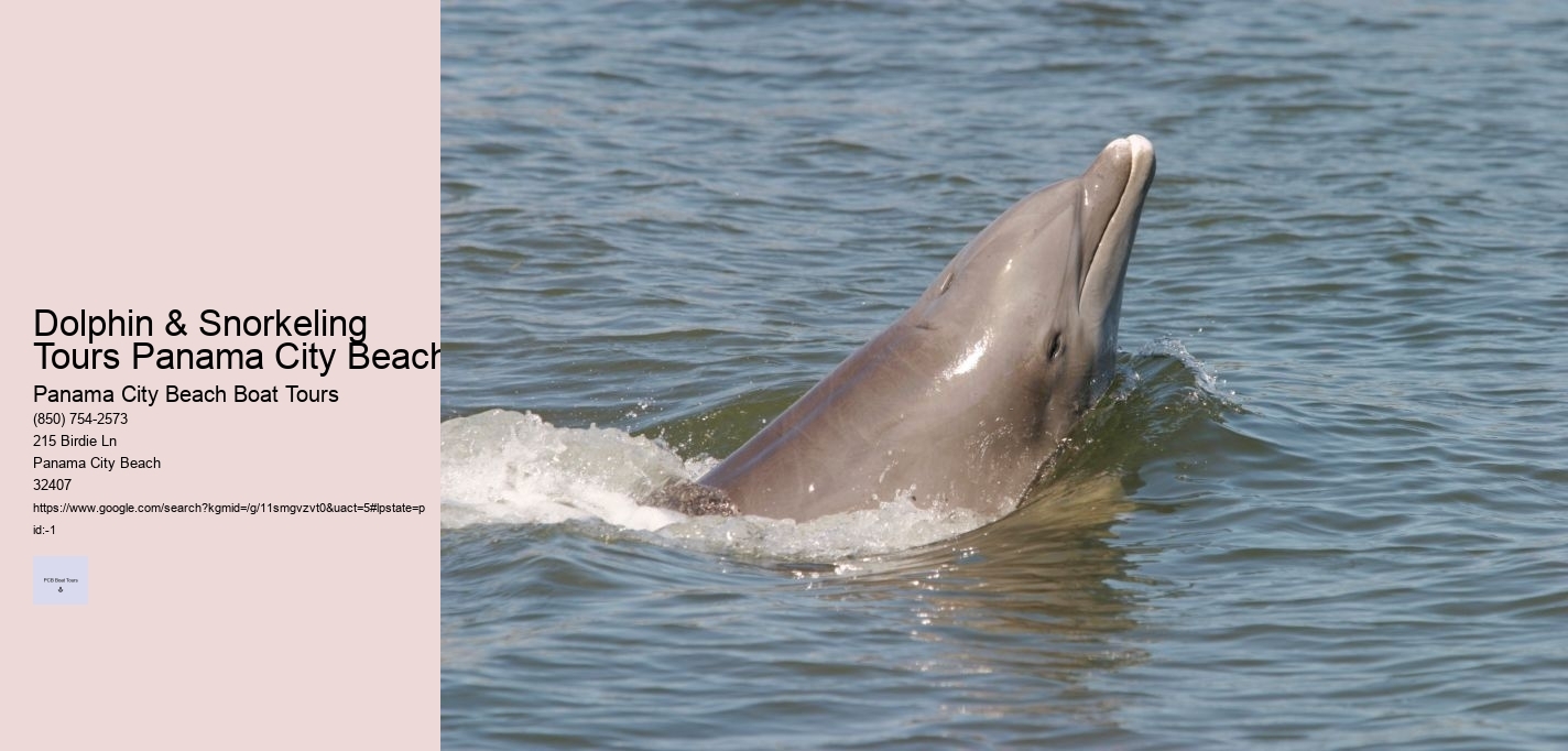 Dolphin & Snorkeling Tours Panama City Beach