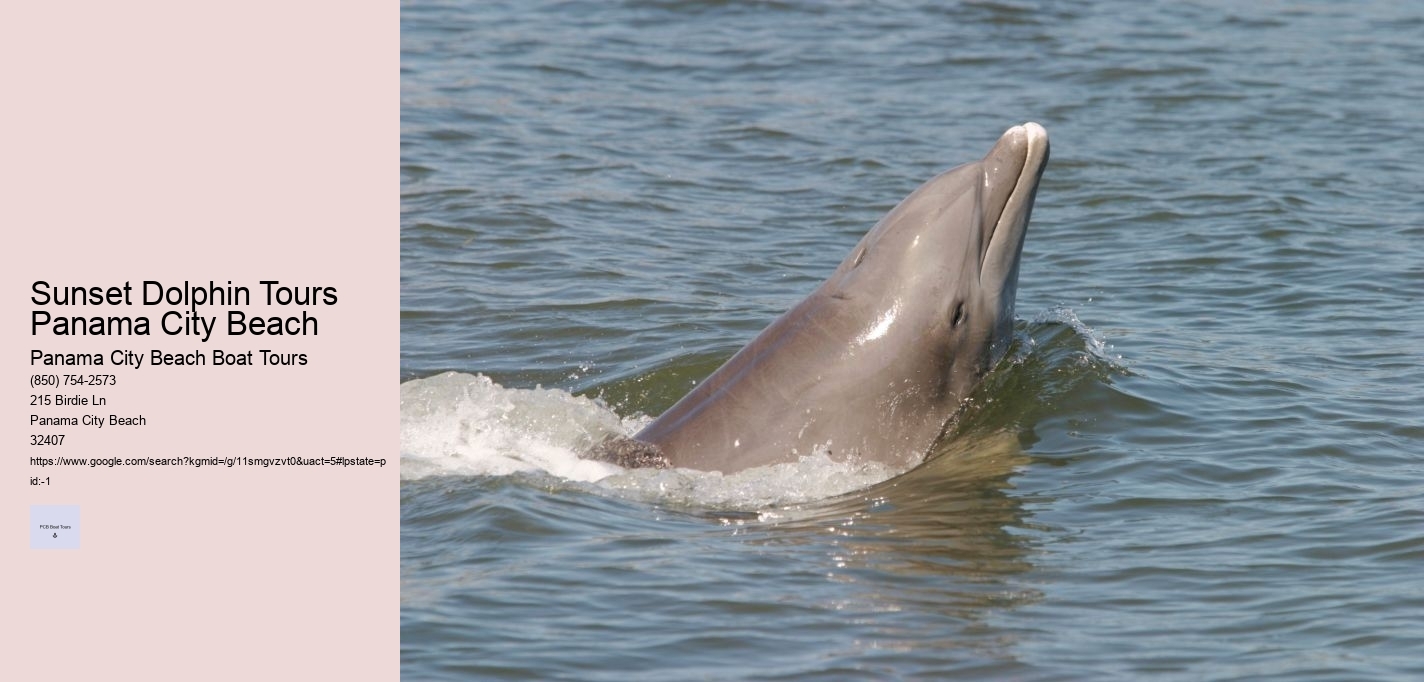 Sunset Dolphin Tours Panama City Beach