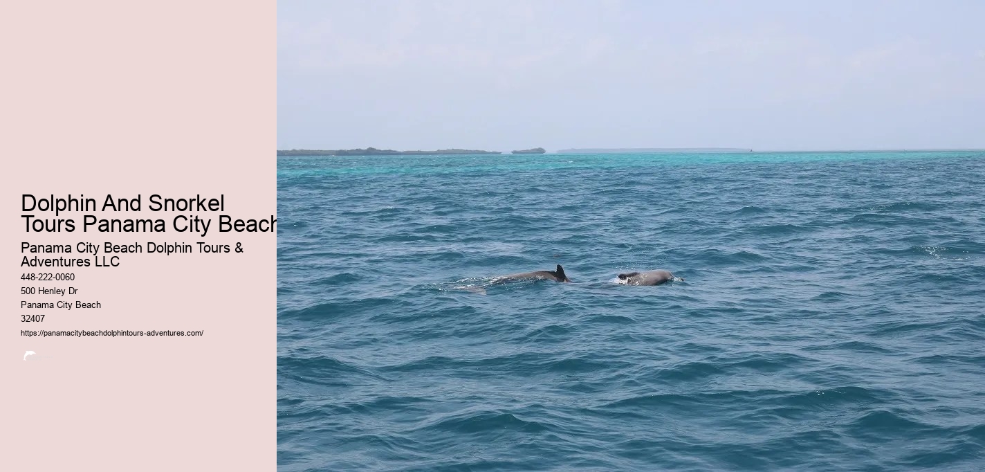 Panama City Beach Shell Island Dolphin And Snorkel Cruise