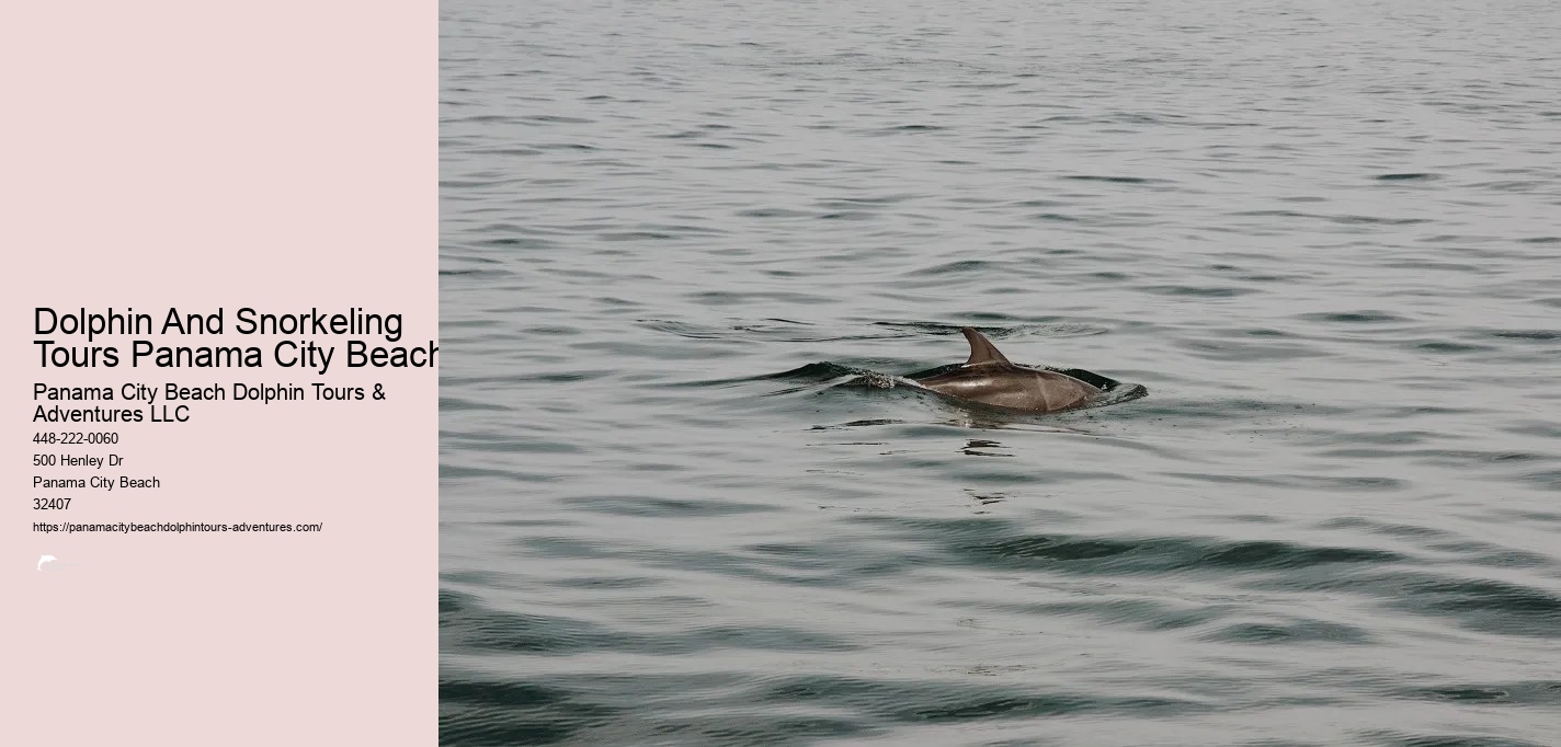 Panama City Beach Shell Island Dolphin And Snorkel Cruise