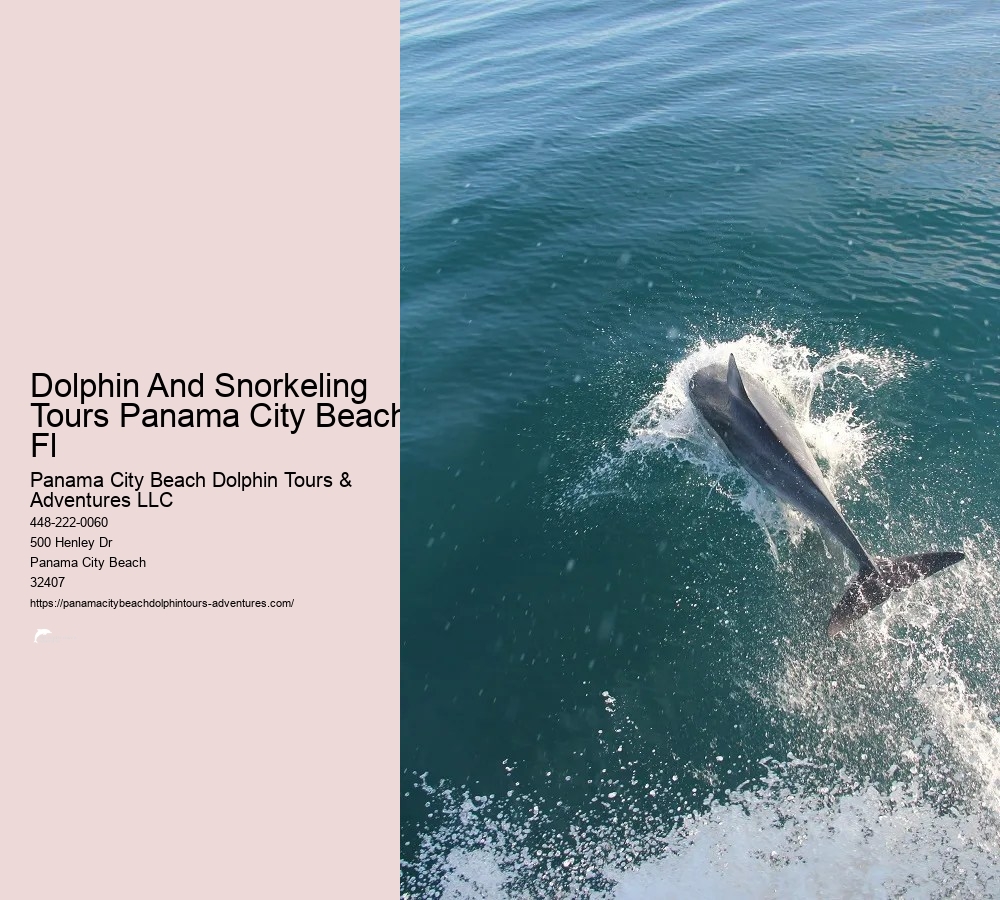 Dolphin & Snorkeling Tours Panama City Beach