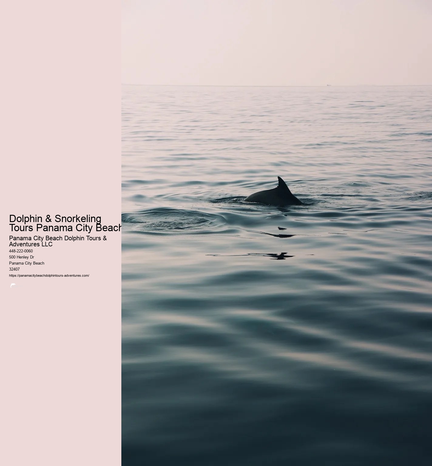 Dolphin And Snorkel Tours Panama City Beach Florida