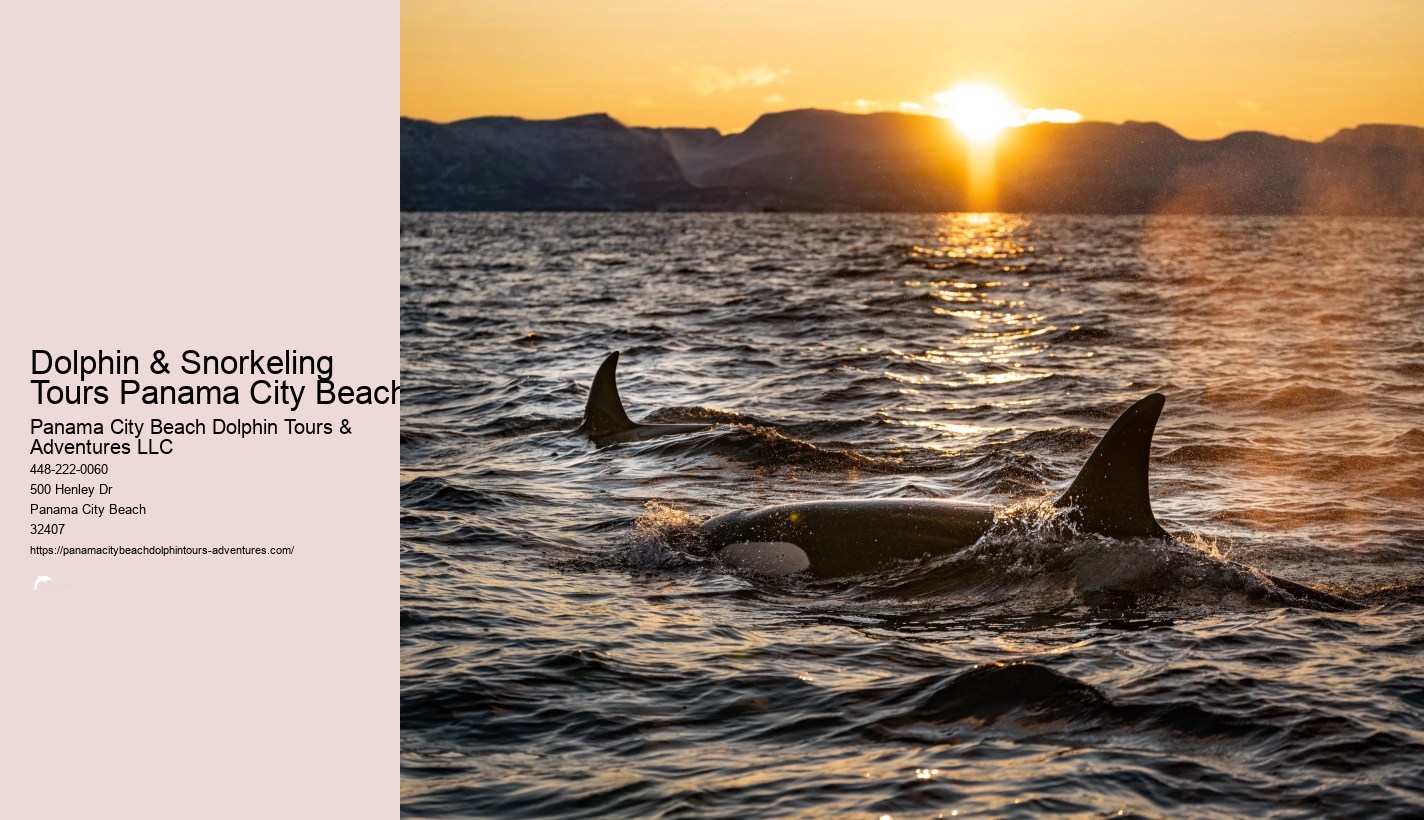 Snorkeling Tours Panama City Beach